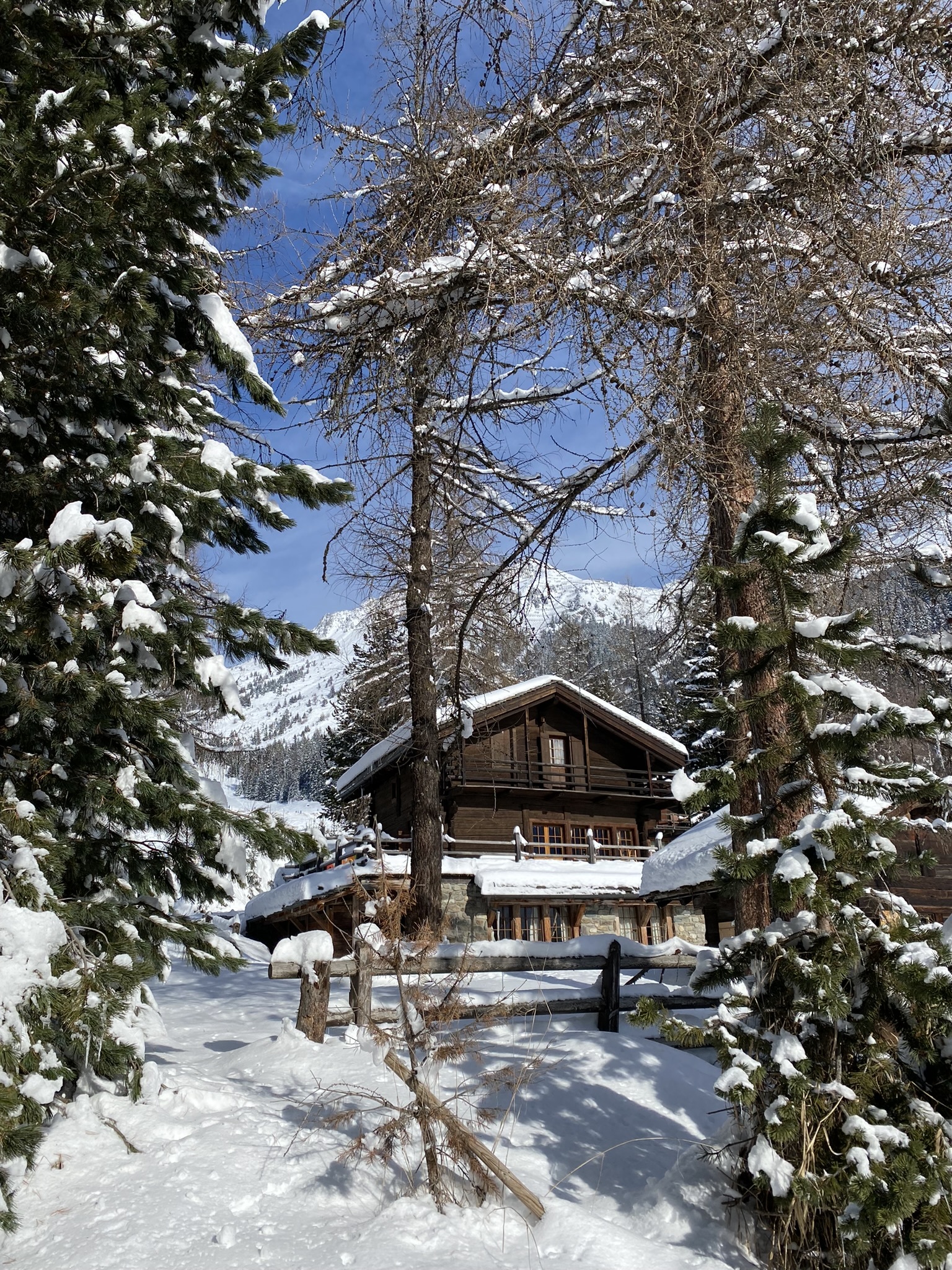 Chalet dans la forêt enneigée